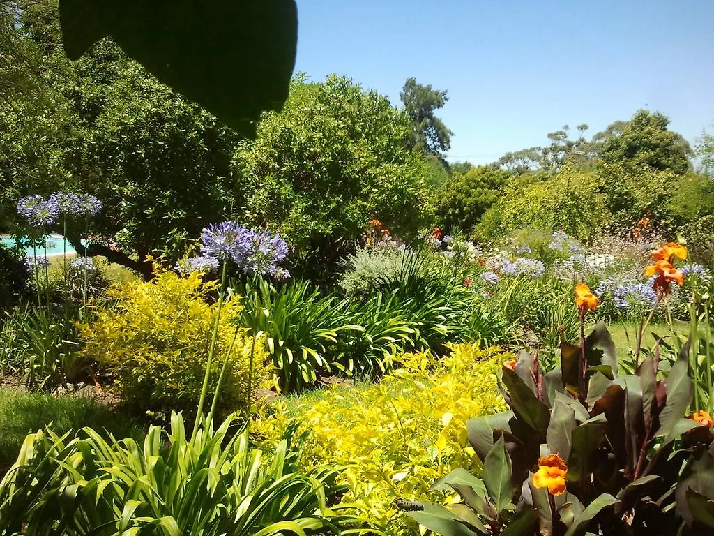 Montrose Guesthouse Somerset West 4*,  Südafrika