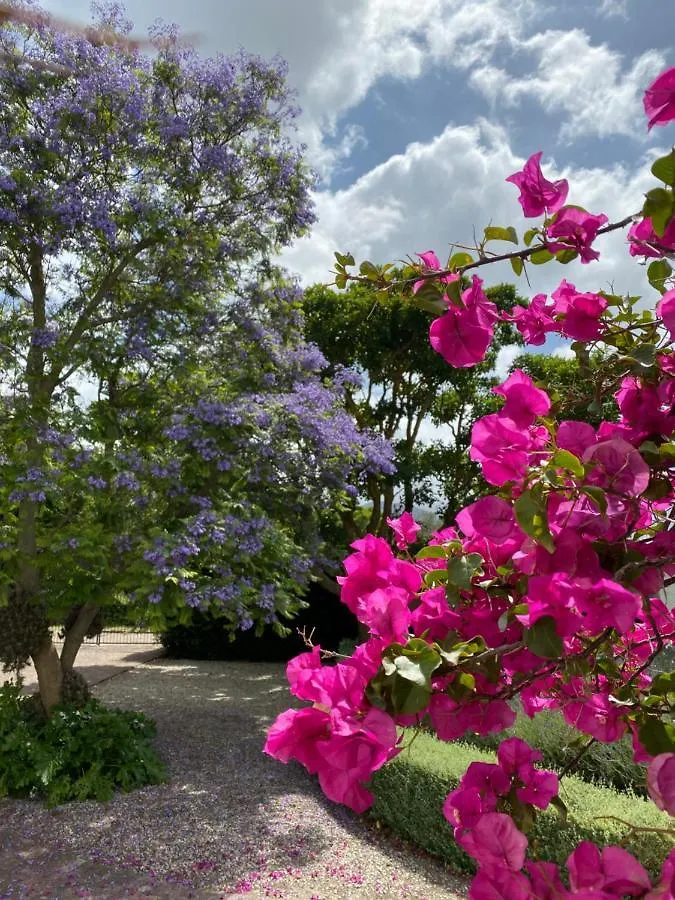 Montrose Guesthouse Somerset West